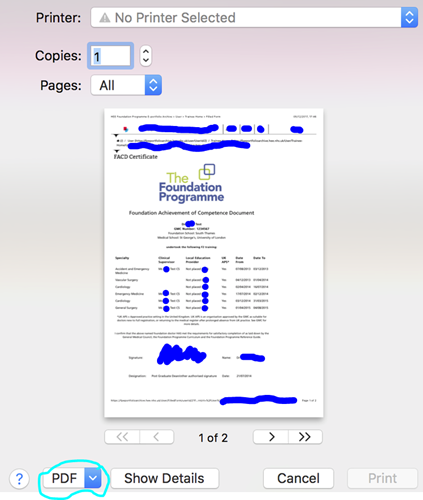 This image shows the safari browser print to pdf function