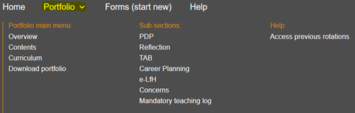 This image shows the portfolio menu options